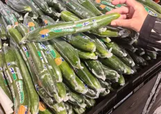 De komkommers zijn niet erg lang maar waar wel goede prijzen voor worden gevraagd. Finland is vrijwel zelfvoorzienend bij de komkommerteelt