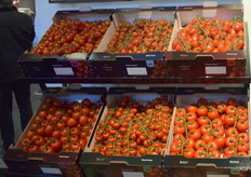 Harvest House introduceert de Pearls of Taste-lijn van fijne trostomatentypes. De Pearls of Taste zijn verkrijgbaar in zes soorten: Sweet Pearl, Roma Pearl, Petit Pearl, Red Pearl, Dolce Pearl en Primo Pearl.