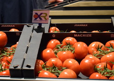 Binnenkort beschikbaar: de ToBRFV resistent grove trostomaat Macxize van Axia Seeds