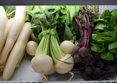 Van het Italiaanse AgroPontino: rettich, rode biet en witte meiknollen