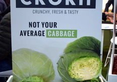 Krokante witte kool van Takii Seed