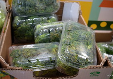 Geen druiven, maar een punnet boordevol broccoliroosjes bij Anecoop