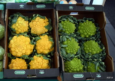 Ook bij Anecoop te zien: gele Romanesco