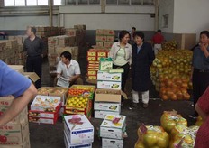 De dag begon met het ritueel van vroeg opstaan, koffers in de lobby zetten, uitchecken bij de receptie, ontbijten en de bus in. Op deze regenachtige morgen was onze eerste stop een Groothandelsmarkt. De ShangHai Hua Zhong Fruits & Agrcultural by-Products Trade Center. We raken al een beetje vertrouwd met het beeld van de groothandelsmarkten in China. Deze (wederom 1 van de grootste van het land) onderscheidt zich door gemiddeld 15% import producten aan te bieden. Voornamelijk afkomstig uit Amerika, maar ook uit Nieuw-Zeeland, Italie en Chili. General Manager Hou Ju Kin liet ons weten dat al lijkt het nog of chinajaren achterloopt, de inhaalslag is begonnen. Hij verwacht dan ook binnen 10 jaar zo sterk gemoderniseerd te zijn, dat de Chinese groothandel zich kan meten met de westerse. Van de totale omzet op deze groothandelsmarkt wordt slechts 35% gebruikt voor de verwerking. In andere landen ligt dit percentage op 65%. Voor de lunch begaven wij ons naar het Intercontinental Hotel. ABN-A