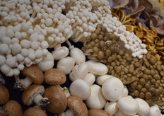 FME had veel verschillende soorten meegenomen.