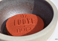 Het dessert: Looye Honingtomaten, aardbei, cremeux citrus en vanille