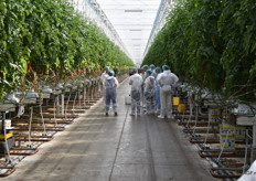 Afsluitend een rondje in de kas