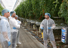 Toelichting op de strenge criteria die Looye hanteert voor de Honingtomaten