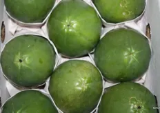 papaya groen