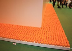 Sinaasappelen netjes naast elkaar