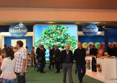 De stand van de Marlene appelen