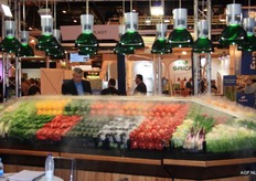 Hier worden groentes koel gehouden