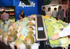 Een presentatie van Aqualife. Aqualife, bekend bedrijf op de Spaanse markt in de koeling van vis, presenteert hier het systeem van koeling en bevochtigen voor groenten en fruit