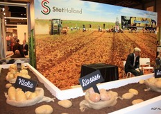 Stet Holland valt onder Patatas Beltran en presenteerde diverse rassen
