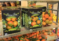 Een boompje met mandarijnen