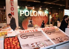 Appelen uit Polen, een groeiende markt