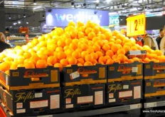 Eliza oranges from Greece, started their export activites to different Arab countries and now, products are being offered to Central European countries too