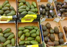 Premium avocados from Spain