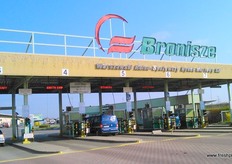 Groothandelsmarkt Bronisze ligt net buiten Warschau. We hebben foto's gemaakt van de producten en bedrijven. Veel aangeboden groenten en fruit kwam uit eigen land. Polen telen en consumeren veel kool en appelen en dat was te zien in het aanbod