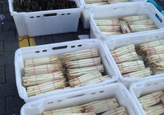 Telers van witte en groen/paarse asperges stallen hun producten uit in het water