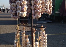 Knoflook, mooi uitgestald