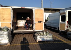 het aanbod kleine dikke komkommers is groot. Ze worden in plastic zakken verkocht