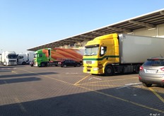 Greengrow, een specialist in wortelen