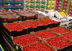 Paprika's van Paprika NL en Flandria