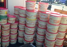 Zuurkool, in enorme emmers te koop