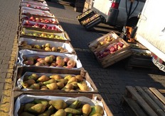 Peren en appelen van eigen boomgaard