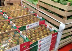 Salvetti kiwi's uit Italië
