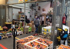 Citrus van het merk Llusar