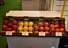 De vier nieuwe appel-variëteiten van Zouk.