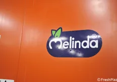 Het logo van Melinda