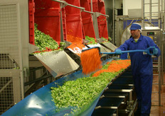 Nu nog handmatig mengen van soepgroenten. Binnenkort volautomatisch.