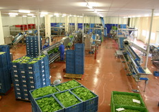 Dit zijn de lijnen voor bulkproducten. Vanaf week 46 gaat Dijckhof Foods Jan Linders beleveren. Speciaal hiervoor worden twee kleinere lijnen geplaatst die maar 1 minuut omsteltijd nodig hebben om te switchen naar een ander product.