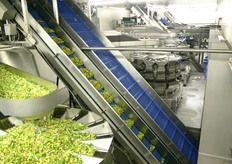 6 inpaklijnen op een rij.