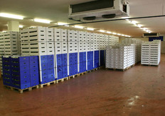 Klaar voor verzending naar de retail.