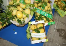 Grote citroenen