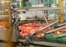 de appelen worden uit de kosten gekiept en gewassen