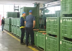 Peter van Etten en Jan-Pieter Haakmeester bekijken de appelen na sortering. De appelen worden vervolgens in een cel geplaatst. Hier blijven ze 20 tot 30 dagen staan om te drogen.