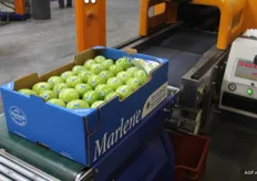 Mooie glanzende appelen klaar voor vertrek naar Nederland