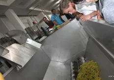 De druiven komen uit de wijnstreek Meran in Zuid-Tirol