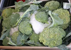 Broccoli op ijs