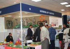 De stand van Care International.