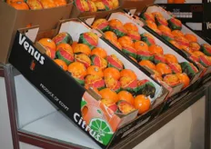 EGCT for Agricultural Products is gespecialiseerd in Egyptisch citrus, dat daardoor prominent aanwezig was in de stand.