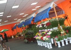 Ook in het Hollandpaviljoen waren veel bloemen te vinden.