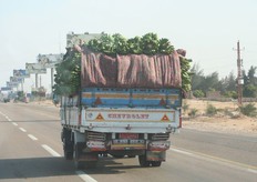 Transport van bananen op de Alexandria Desert Road.