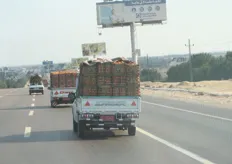 Transport van sinaasappelen richting Cairo.