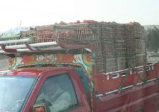 Transport van tomaten op de Alexandria Desert Road ten westen van Cairo.